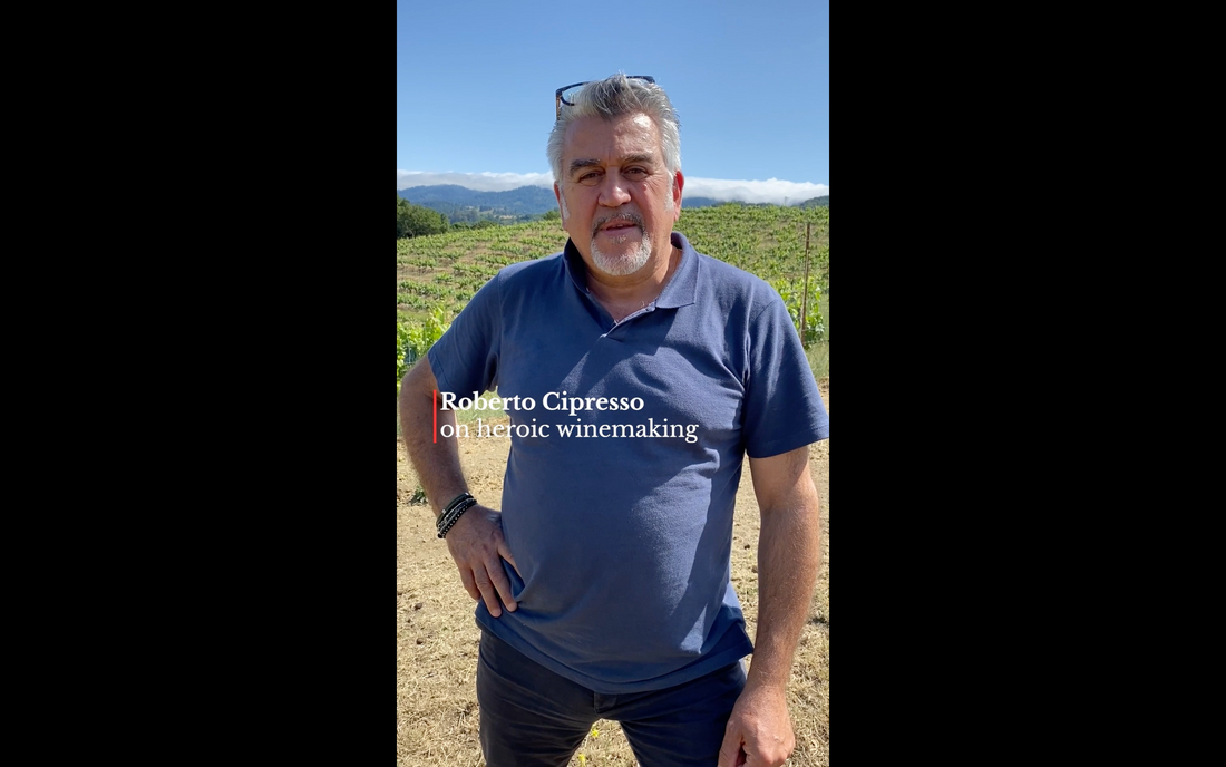 Roberto on the delicacy of heroic winemaking